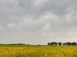 time lapse of grassland Stock Footage