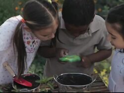 CU Students examining pots of soil with magnifying glass / Los Angeles, California, United States Stock Footage