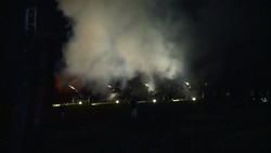 CLEAN : In high grass of Gettysburg Americans News Clip