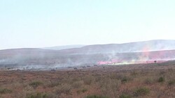 CLEAN : African troops train for rapid response force News Clip