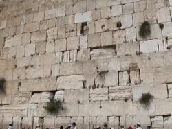WS TD Waling Wall with prayers / Jerusalem, Mechoz Jeruschalajim, Israel Stock Footage