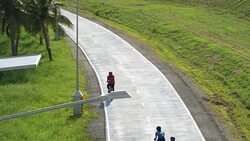 Group of people cycling Bicycle in bicycle lane Stock Footage