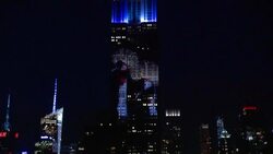 ATMOSPHERE - projections of endangered species onto Empire State Building at Projecting Change: The Empire State Building Stock Footage