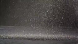 Bletchley Park Lake And Wildlife News Clip