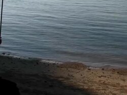 Female Silhouette Swinging by the Shore Stock Footage