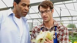 Cheerful garden center employee helps customer shop for corn Stock Footage