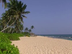Sri Lanka Beach Stock Footage