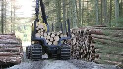 Freshly cut timber in Grizedale forest, Lake District, UK, being hauled to the roadside by an ATV. Stock Footage