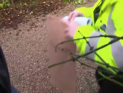 Man Handing Police Officer A Grey Sock News Clip