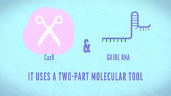 Cut-and-Paste Tool Transforms Genetic Research News Clip