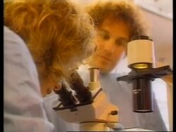 USA: RESEARCHERS ENCOURAGED BY NEW AIDS DRUG THERAPIES News Clip