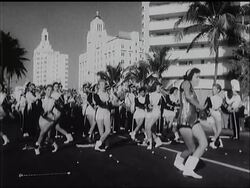 ROYAL WATER SKIERS News Clip