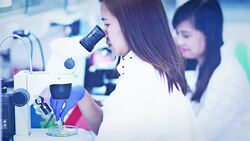 Scientist analyse plant disease with stereo microscope Stock Footage