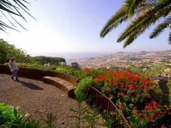 Botanical Gardens Stock Footage