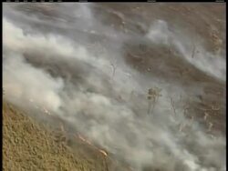 Firefighters in Australia were still battling to contain more than 20 wildfires burning across two states on Thursday, with many areas remaining on high alert for the second day in a row. News Clip