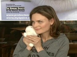 Celebrity Save The Seal Day: Press Conference Hosted by Celebrities Against The Seal Hunt Stock Footage