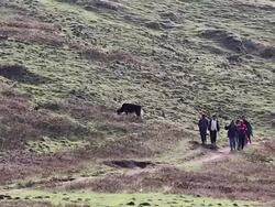 WS People walking from Himalayan mountains / Durma, Banke District, Nepal Stock Footage