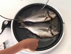 HD: Fried Fish Stock Footage