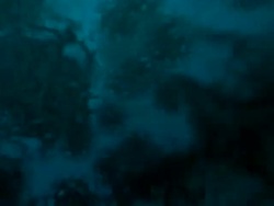 (Loop) Living Organism Stock Footage