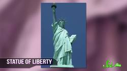 Horseshoe Crabs Saved My Life Instructional Video