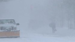 Historic Blizzard, Snowstorm, Whiteout Conditions - Barely Visible Man Walking Stock Footage