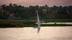 Nile River 'Feluccas' sailboat at sunset near Luxor Egypt Stock Footage
