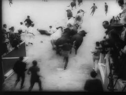 Running of the Bulls in Pamplona, Spain Stock Footage