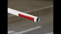 Trucks queue at border as customs strike causes delays News Clip