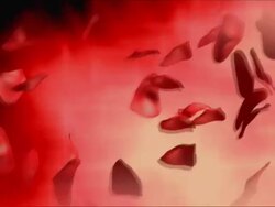 Falling Rose Leafs hd 30 fps Stock Footage