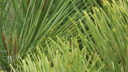 Mapping the urban landscape with new app News Clip