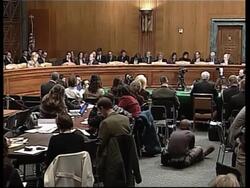 Fallon, Negroponte testify to Senate committee on Iraq News Clip