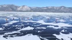Extreme race competition on frozen Lake Baikal News Clip