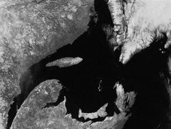 CLEAN: Melting ice means dying baby seals, and no hunt News Clip