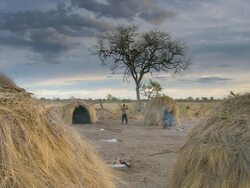 WS Shot of bushman village life child runs between huts / Limpopo, South Africa Stock Footage