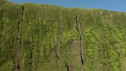 Waihilau waterfall trickles down lush green cliffs in Hawaii's Waimanu Valley. Stock Footage