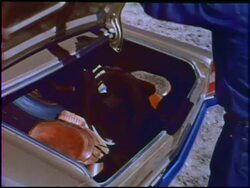 Montage: end of the day out on the range Stock Footage