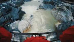 On the bridge Stock Footage