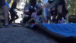 Fun runners setting off for race News Clip