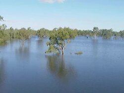 WS AERIAL View of floods / Griffith, New South Wales, Australia Stock Footage