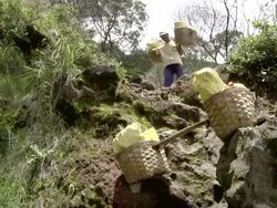 MS PAN Men carrying sulfur from the mining at the ijen volcano / Ijen, Java, Indonesia Stock Footage