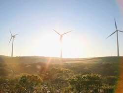 Wind turbines farm by sunrise Stock Footage