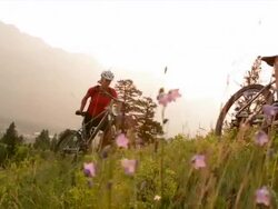 Mountain bikers push bikes up steep mountain slope, sunrise Stock Footage
