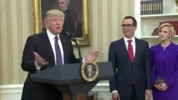 Steven Mnuchin Sworn in as Treasury Secretary News Clip