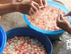 Human Hand Peeling Carissa carandas Linn Stock Footage