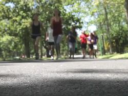 Group Of Runners Jogging Through Park Stock Footage