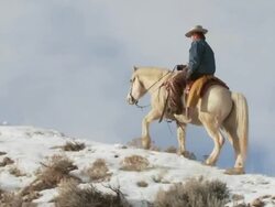 TS Cowgirl riding horse across snowy ridge with dog / Shell, Wyoming, United States Stock Footage