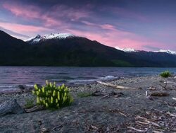 Sunset at Mountain Lake Stock Footage