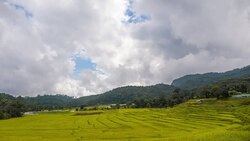 Terrace rice fields Stock Footage