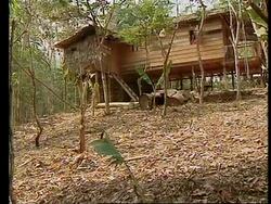 INDONESIA: FIRES CAUSE THREAT OF A CHOKING HAZE RETURNING News Clip