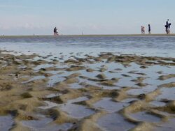 WS View of sea ebb tide at wadden sea ,world heritage natural site, North Sea North Frisia, / St. Peter Ording, Schleswig Holstein, Germany Stock Footage